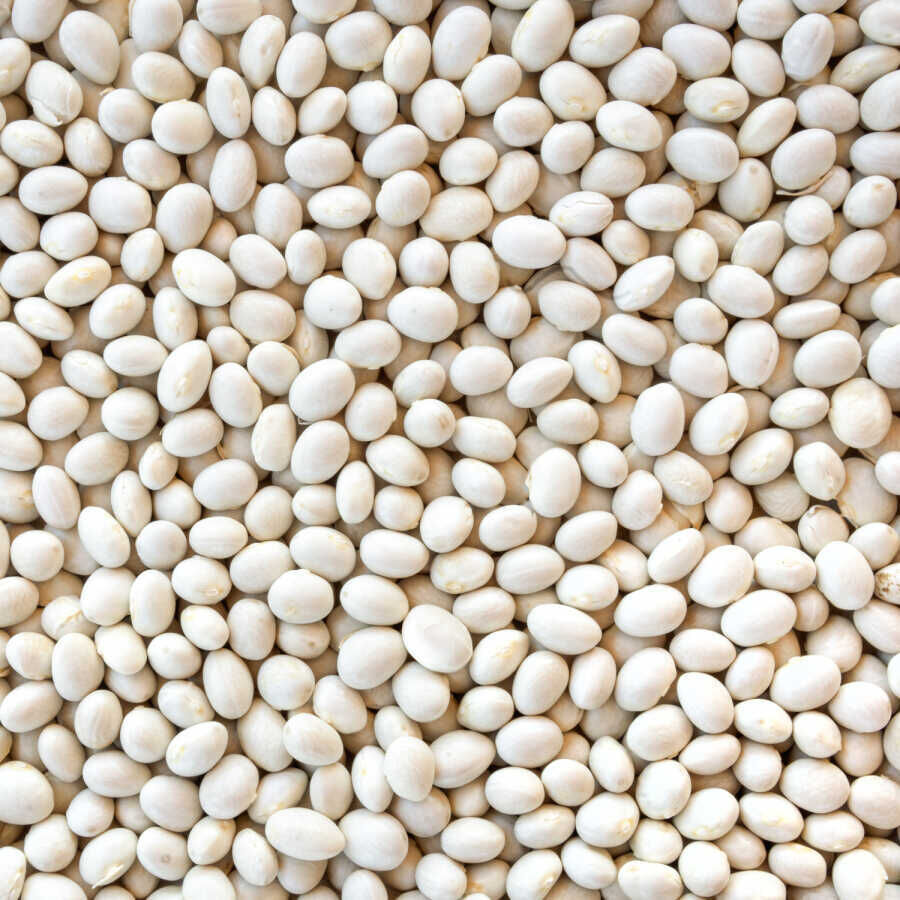 Hasata Derinkuyu Kuru Fasulyesi 1 Kg - 2