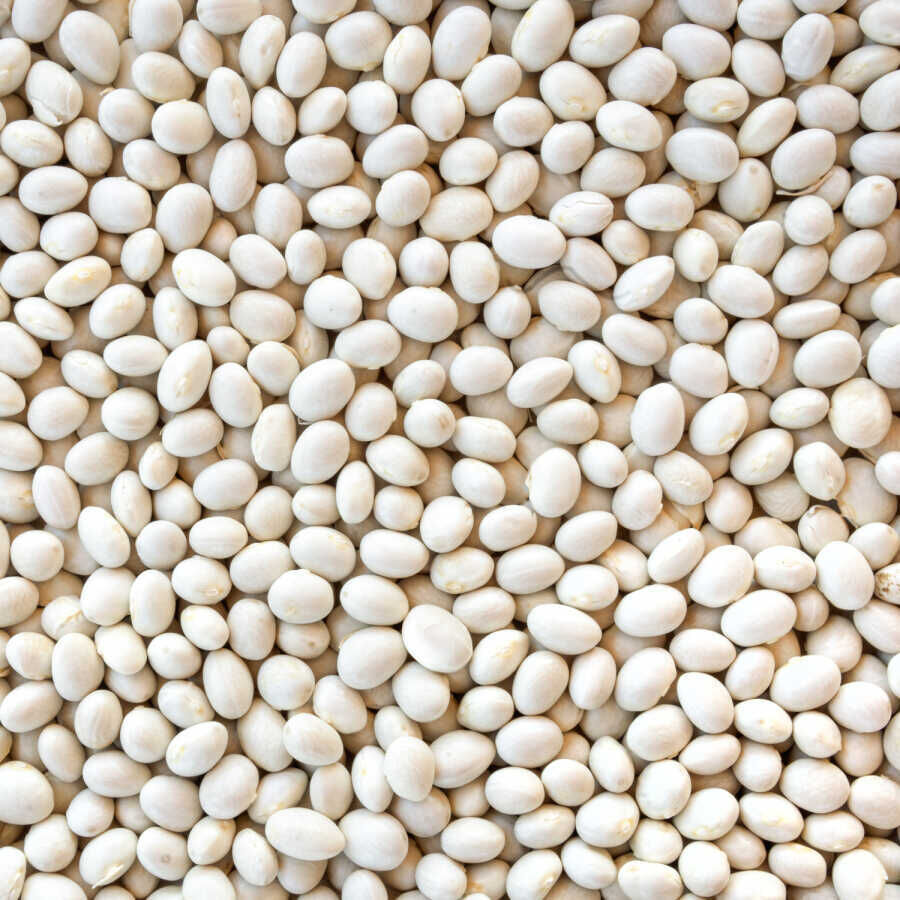 Hasata Derinkuyu White Beans 1 KG - 2