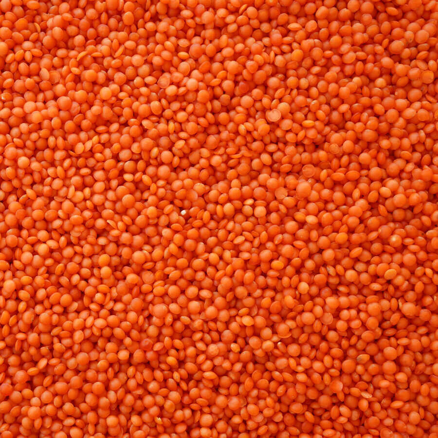 Hasata Mardin Red Lentils 1 KG - 2