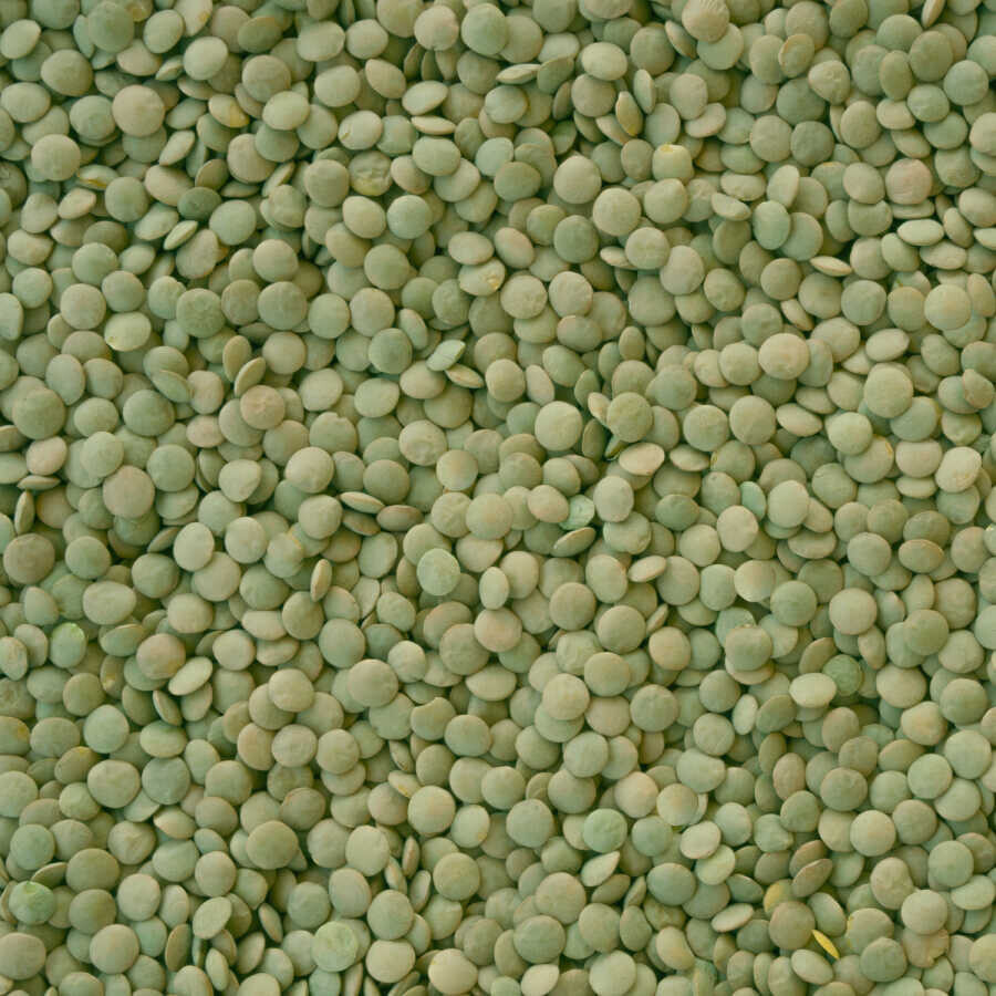 Hasata Yozgat Sultani Yeşil Mercimek 1 Kg - 3