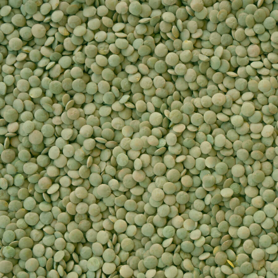 Hasata Yozgat Sultani Yeşil Mercimek 1 Kg - 3